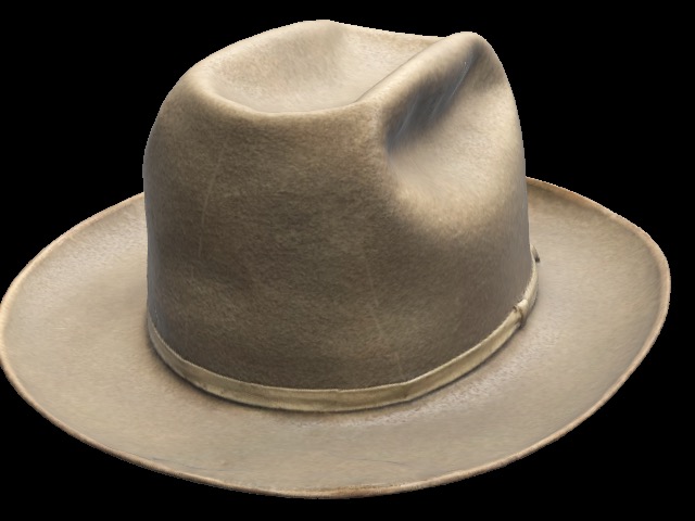 3D Stetson Stratoliner Hat